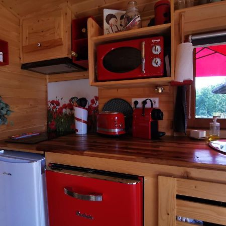 Гостевой дом La Roulotte Du Cagire - 4 Pers - Pyrenees Villeneuve-de-Riviere Экстерьер фото
