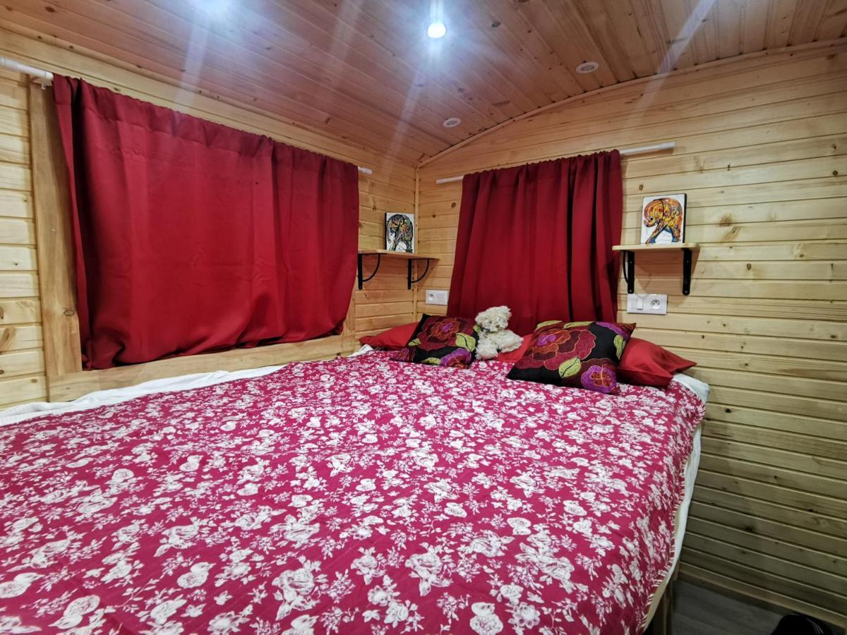 Гостевой дом La Roulotte Du Cagire - 4 Pers - Pyrenees Villeneuve-de-Riviere Экстерьер фото