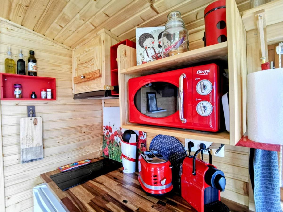 Гостевой дом La Roulotte Du Cagire - 4 Pers - Pyrenees Villeneuve-de-Riviere Экстерьер фото
